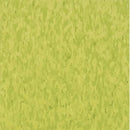 Armstrong 57510 Kickin Kiwi Standard Excelon Imperial Texture Vinyl Composition Tile VCT (Partial Piece - Sample)