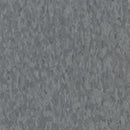Armstrong 57532 Grayson Standard Excelon Imperial Texture Vinyl Composition Tile VCT (Partial Piece - Sample)