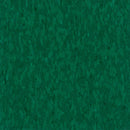 Armstrong 57537 Alligator Standard Excelon Imperial Texture Vinyl Composition Tile VCT (Partial Piece - Sample)