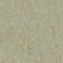 Forbo River Bank Linoleum Sheet 5801-195676 Marbled Terra (Partial Piece - Sample)
