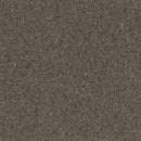 Armstrong Premium Excelon Crown Texture 5C239 Taragon VCT Tile (Partial Piece - Sample)