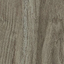 Shaw Symbiotic 20 5M303-00568 Sparrow Vinyl Plank (Partial Piece - Sample)