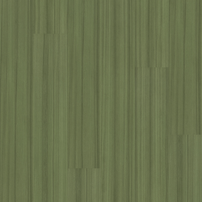 Shaw Color Range 20 5M330-00350 Cactus 5.96" x 48" Vinyl Plank (41.72 SF/Box)