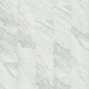 Shaw Pylon Glue Down 5M335-01172 Carrara White 12
