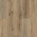 Shaw Frontier Plus 5M400-07089 Wild Dunes 7