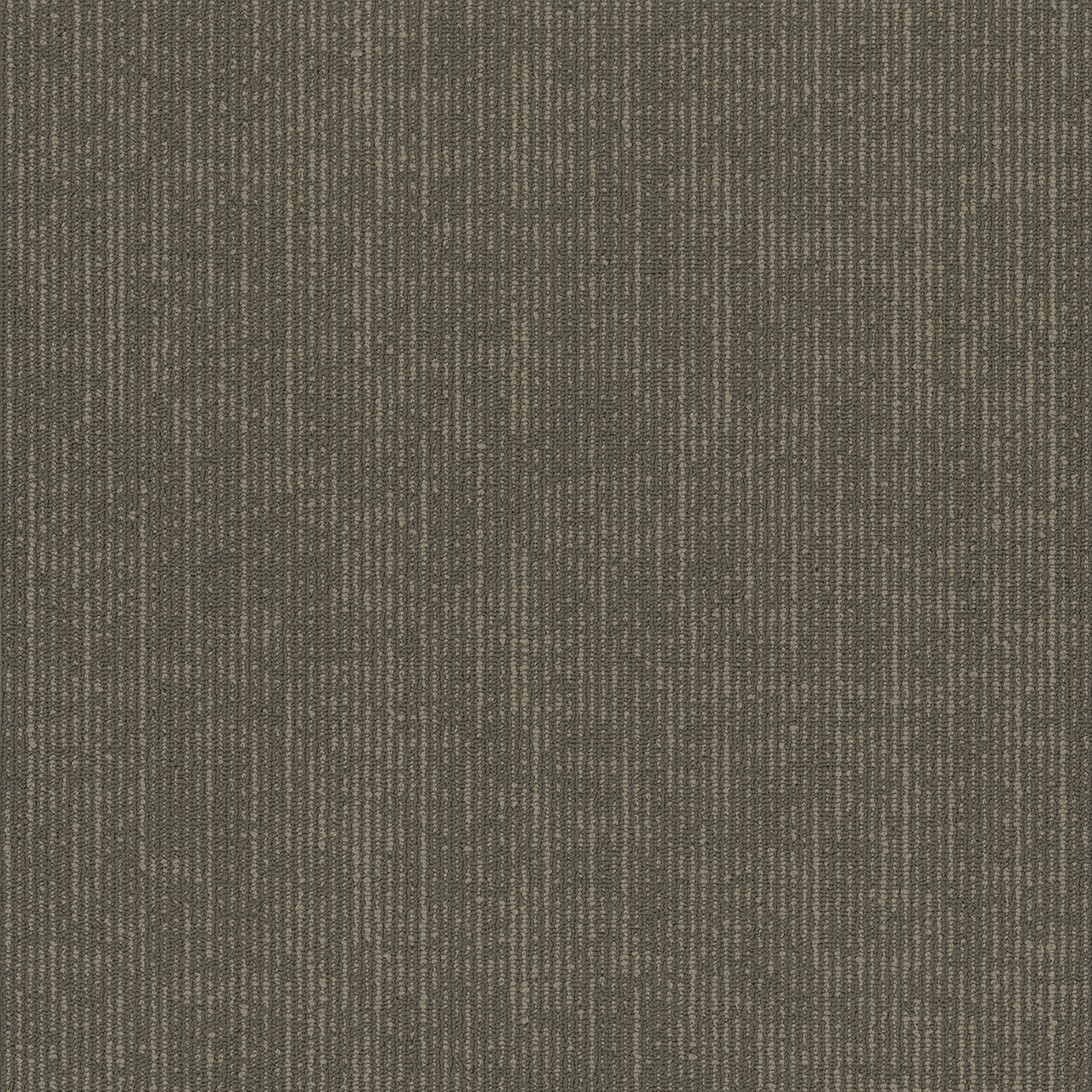 Pentz Carpet Formation 7033T-1884 Division  (Partial Piece - Sample)