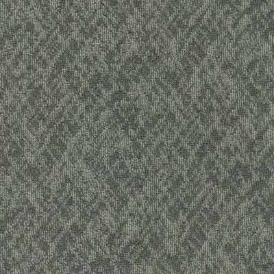 Pentz Carpet Homepage 7552T-3535 Domain 24" x 24" (72 SF/Box)