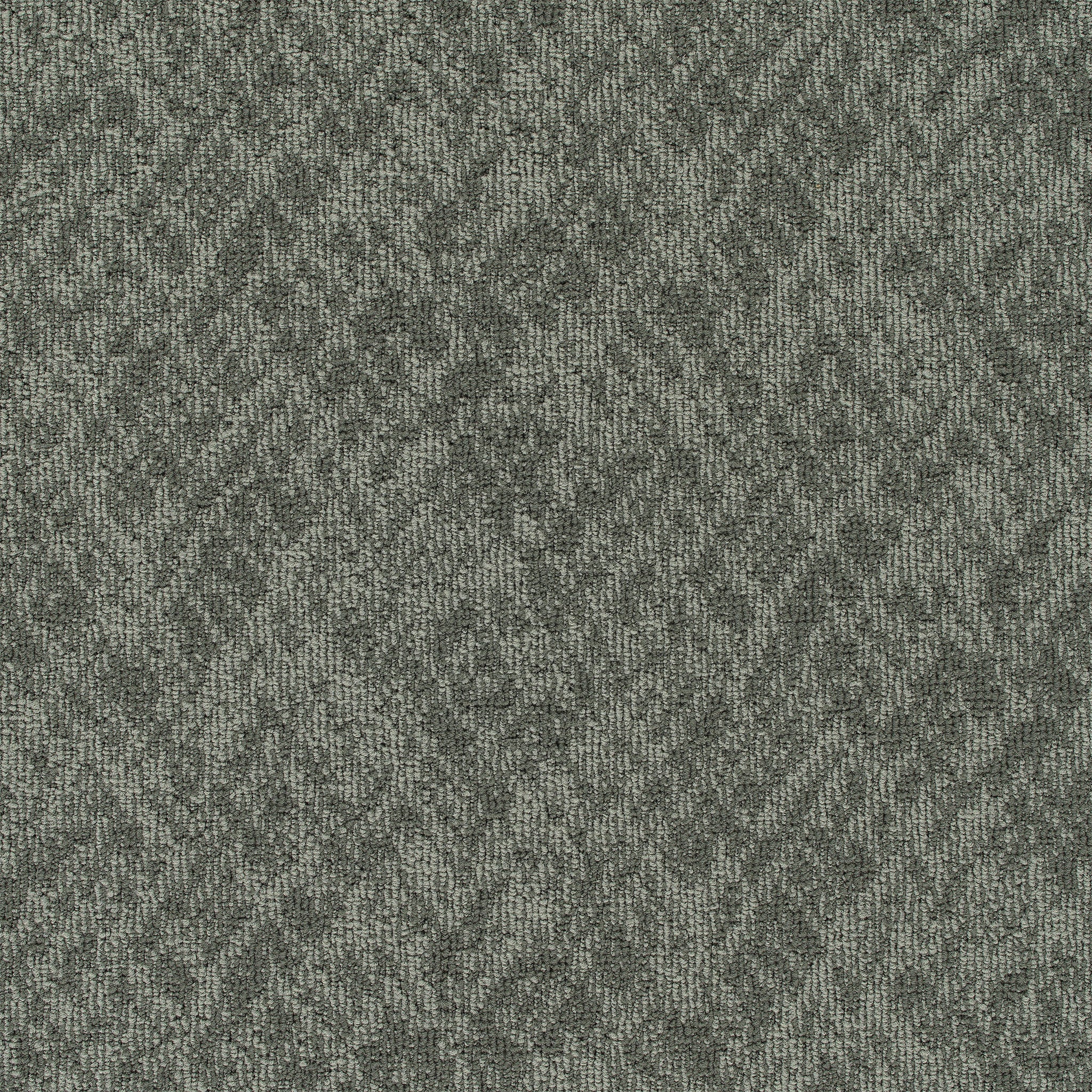 Pentz Carpet Homepage 7552T-3535 Domain  (Partial Piece - Sample)
