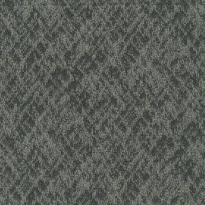 Pentz Carpet Homepage 7552T-3536 Filter  (Partial Piece - Sample)