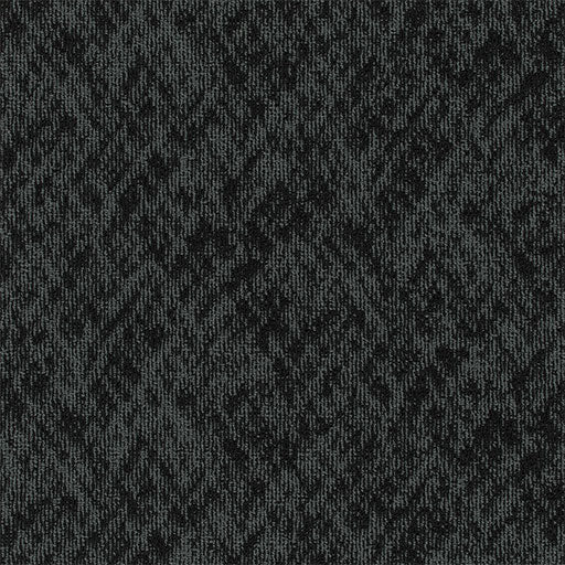 Pentz Carpet Homepage 7552T-3538 Hosting