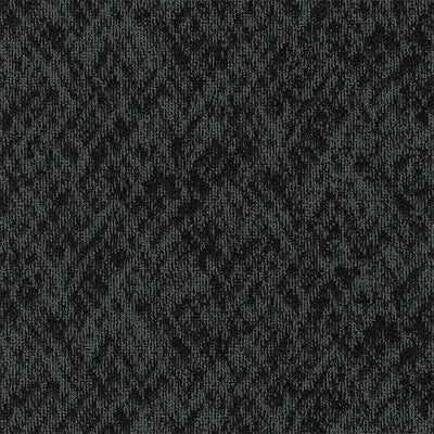 Pentz Carpet Homepage 7552T-3538 Hosting  (Partial Piece - Sample)