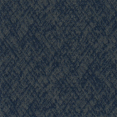 Pentz Carpet Homepage 7552T-3539 Image Overlay  (Partial Piece - Sample)