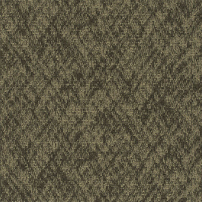 Pentz Carpet Homepage 7552T-3542 Cookies  (Partial Piece - Sample)