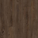 Aladdin Familiar Frontier II Plus AH080-983 Sepia Glue Down LVT (Partial Piece - Sample)