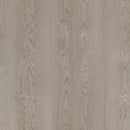 Aladdin Familiar Frontier II Plus AH080-16 Storm Cloud Glue Down LVT (Partial Piece - Sample)