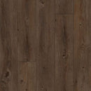 Aladdin Familiar Frontier II AH078-938 Sepia Glue Down LVT (Partial Piece - Sample)