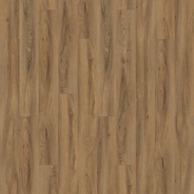 Aladdin Familiar Frontier II AH078-848 Cinnamon Glue Down LVT (Partial Piece - Sample)