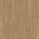 Aladdin Familiar Frontier II Plus AH080-258 Tawny 6
