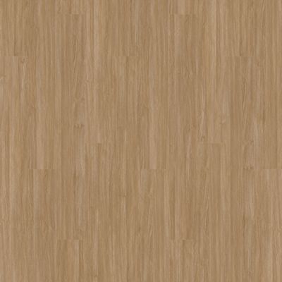 Aladdin Familiar Frontier II Plus AH080-258 Tawny Glue Down LVT (Partial Piece - Sample)