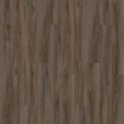 Aladdin Familiar Frontier II Plus AH080-868 Truffle Glue Down LVT (Partial Piece - Sample)