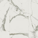 Pergo Gradient Arches PT017-097 Alexandria Vinyl Plank  (Partial Piece - Sample)