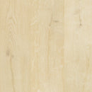 Mohawk SolidTech Premier Saltgrass Springs SDP50-408 Seabrook 8.03