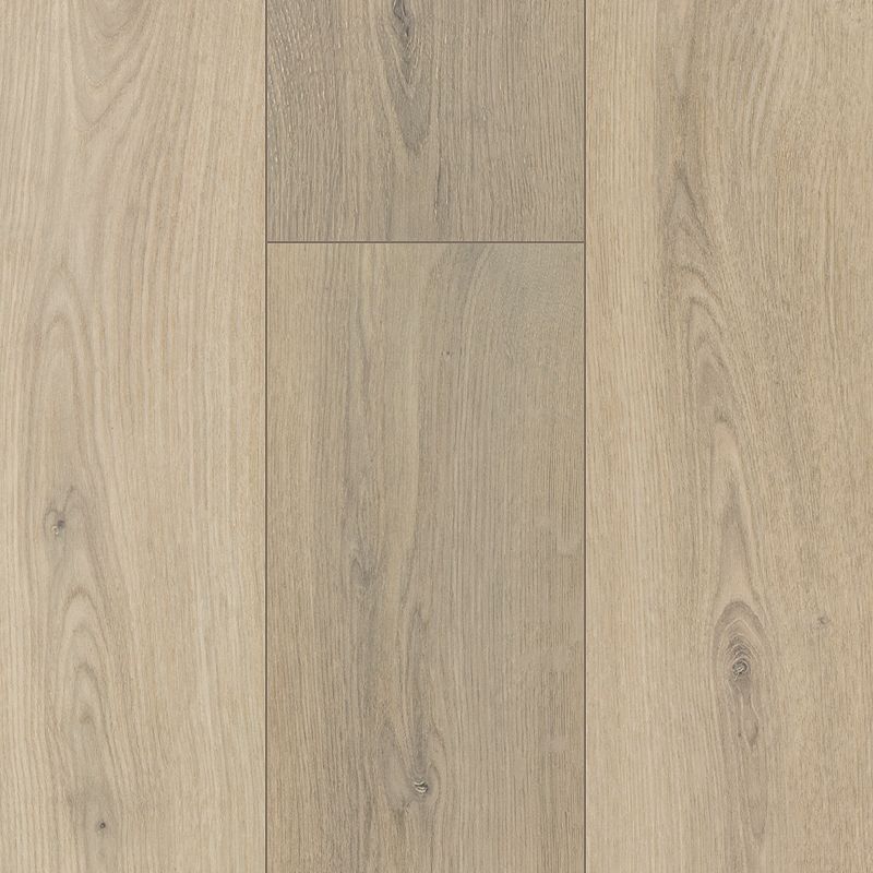 Mohawk SolidTech Monroe Gardens SDP51-416 Highland 8.03" X 59.53"