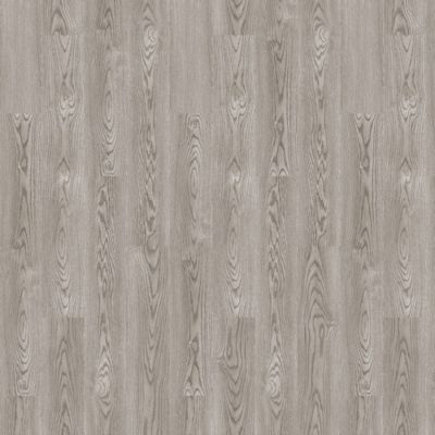 Aladdin Forest Lawn 2.5 AH124-16 Grey Mist Glue Down LVT (Partial Piece - Sample)