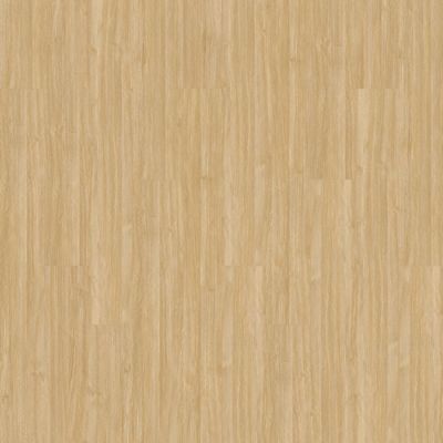 Aladdin Forest Lawn 2.5 AH124-222 Camel Glue Down LVT (Partial Piece - Sample)