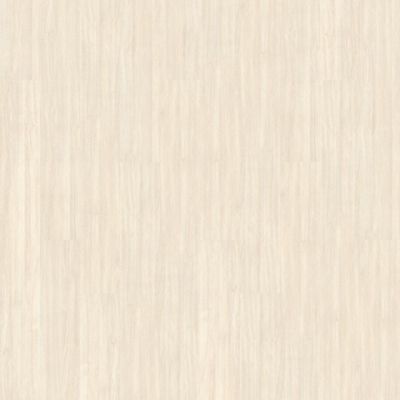 Aladdin Forest Lawn 2.5 AH124-711 Sandbar Glue Down LVT (Partial Piece - Sample)