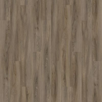 Aladdin Forest Lawn 2.5 AH124-838 Portobello Glue Down LVT (Partial Piece - Sample)