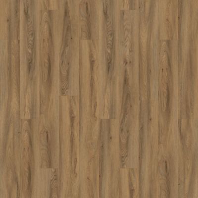 Aladdin Forest Lawn 2.5 AH124-848 Caramel Glue Down LVT (Partial Piece - Sample)