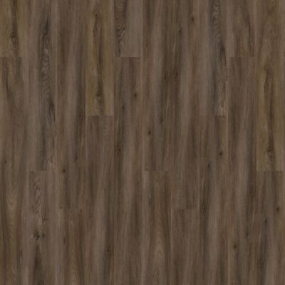 Aladdin Forest Lawn 2.5 AH124-878 Sorrel Glue Down LVT (Partial Piece - Sample)