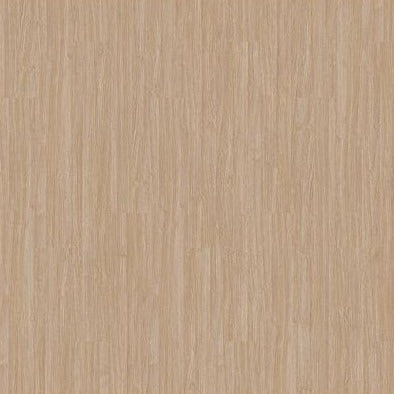 Mohawk Pro Solutions IV PRS04-232 Latte Vinyl Plank (Partial Piece - Sample)