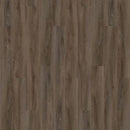 Aladdin Forest Lawn 5.0 AH125-868 Brindle Glue Down LVT (Partial Piece - Sample)