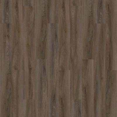 Aladdin Forest Lawn 5.0 AH125-868 Brindle Glue Down LVT (Partial Piece - Sample)