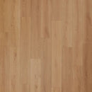 Aladdin Bentwood 2.5 AH126-832 Benton Glue Down LVT (Partial Piece - Sample)