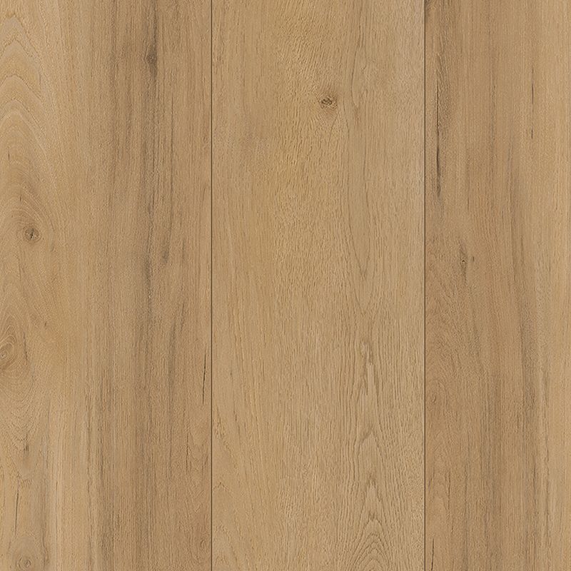 Mohawk SolidTech Plus Poppy Reserve SDP06-847 Sanibel Vinyl Plank 9.13" x 60" – product image showing size, style, and brand details.