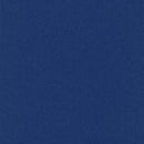Pentz Carpet Colorburst Plank 7049P-3135 Indigo 12