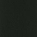 Pentz Carpet Colorburst Plank 7049P-3137 Midnight 12