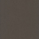 Pentz Carpet Colorburst Plank 7049P-3140 Carob 12