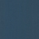 Pentz Carpet Colorburst Plank 7049P-3141 Matte Lake 12