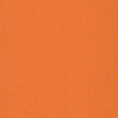 Pentz Carpet Colorburst Plank 7049P-3142 Sunburst 12