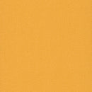 Pentz Carpet Colorburst Plank 7049P-3143 Medallion 12