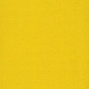 Pentz Carpet Colorburst Plank 7049P-3144 Cyber 12
