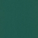 Pentz Carpet Colorburst Plank 7049P-3145 Tropic 12