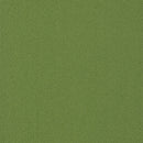 Pentz Carpet Colorburst Plank 7049P-3147 Parrot 12