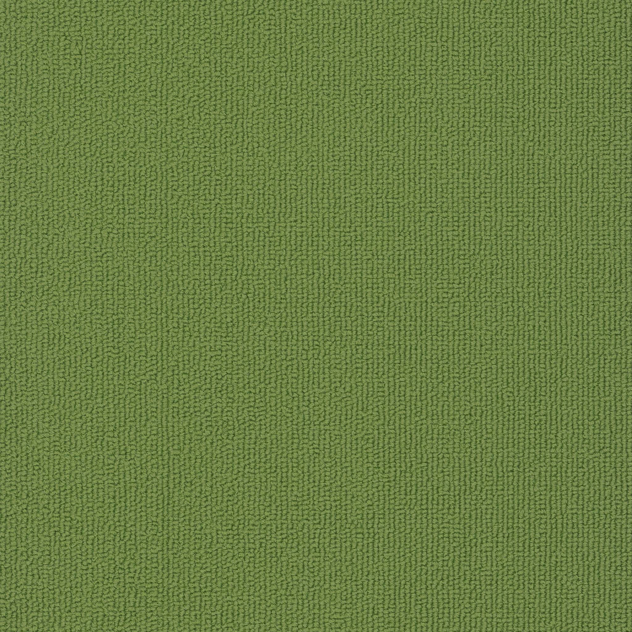 Pentz Carpet Colorburst Plank 7049P-3147 Parrot (Partial Piece - Sample)