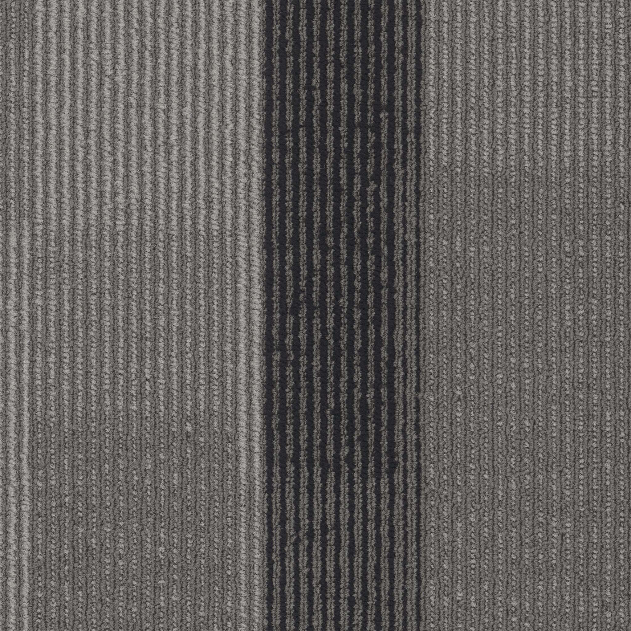Pentz Carpet Amplify Plank 7053P-3137 Midnight 12" X 48"