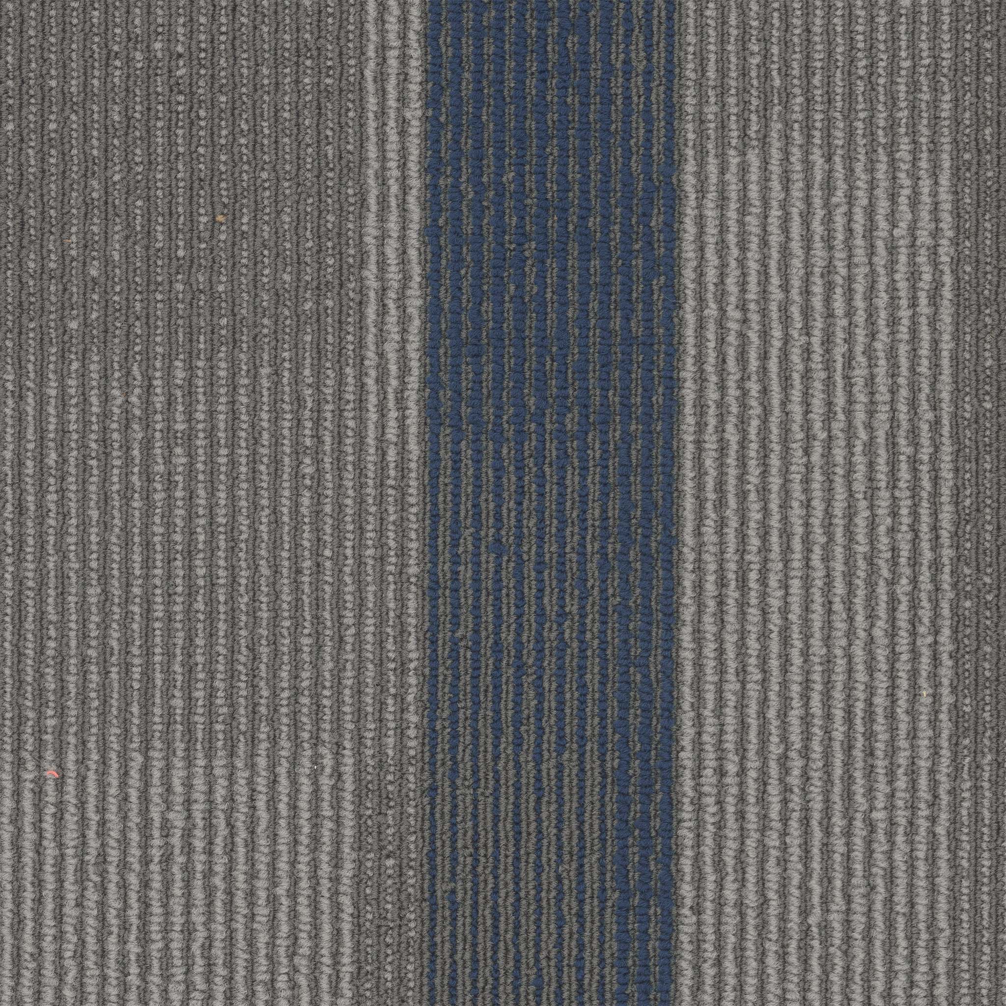 Pentz Carpet Amplify Plank 7053P-3141 Matte Lake 12" X 48"